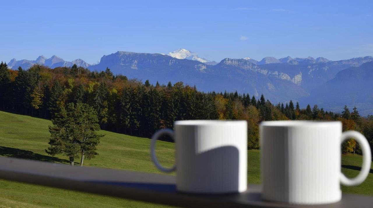 Hotel Chateau Des Avenieres 4*